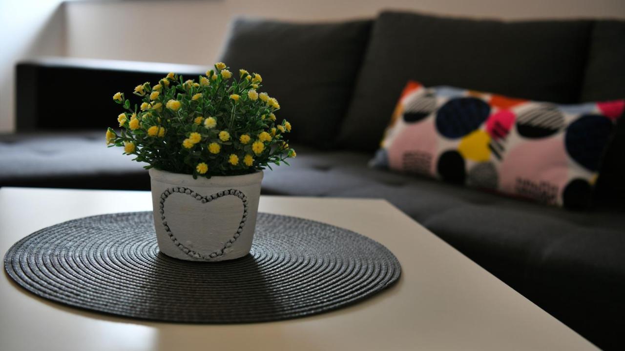 Apartman Mate Раковица Екстер'єр фото